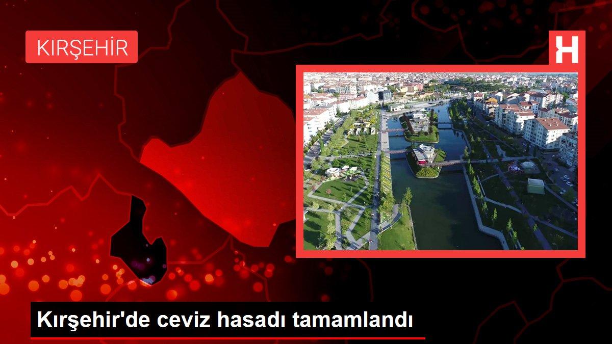 Kırşehir'de ceviz hasadı tamamlandı