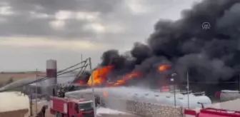 Petrol rafinerisinde yangın çıktı