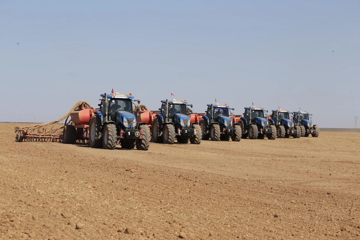 ŞANLIURFA - Türkiye\'nin en büyük tarım işletmesinde buğday tohumları toprakla buluşuyor