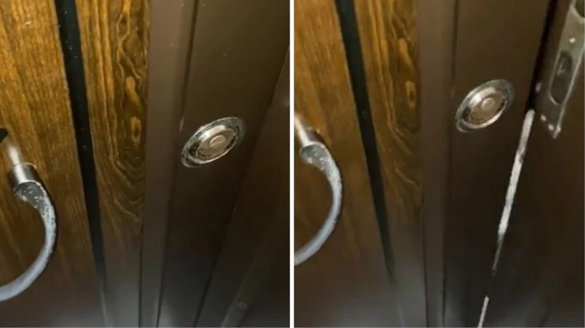 Kapıda kalan vatandaş, çilingir çağırmak yerine kapıyı kedisine açtırdı! İşte sosyal medyada gündem olan video...