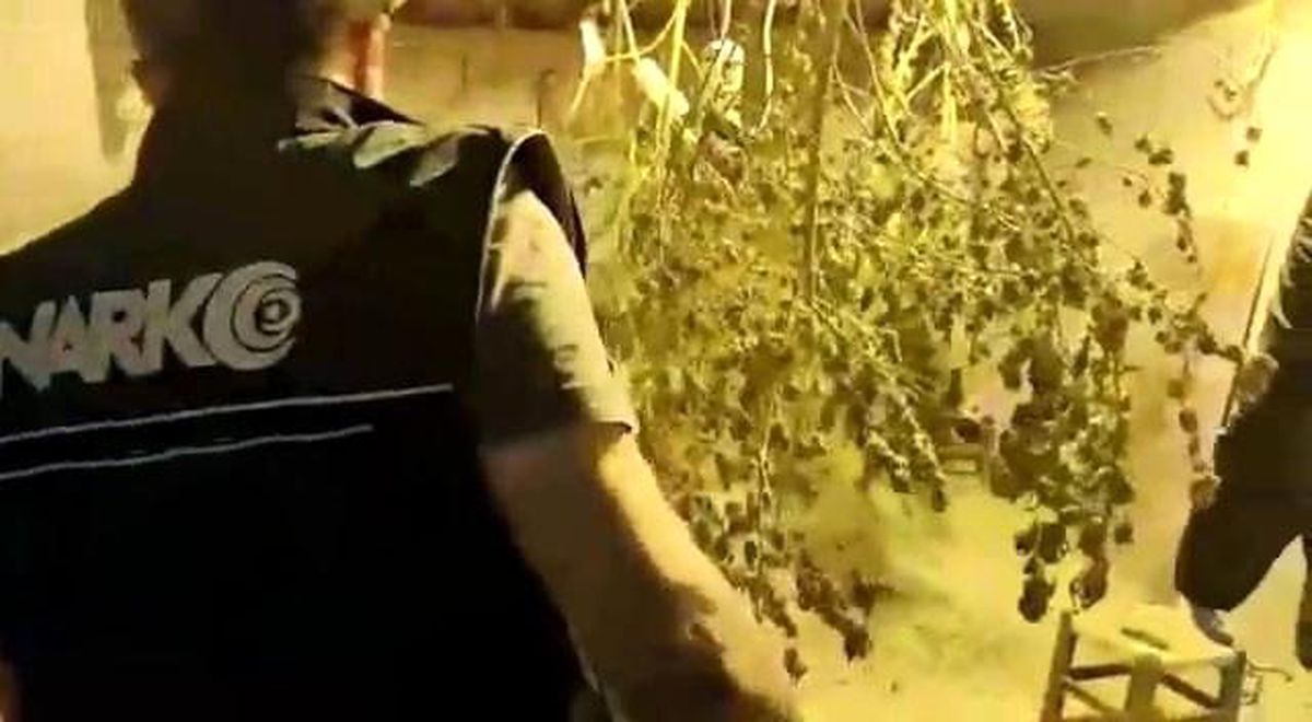 Aydın\'da narkotik ekipleri göz açtırmıyor: 5 gözaltı