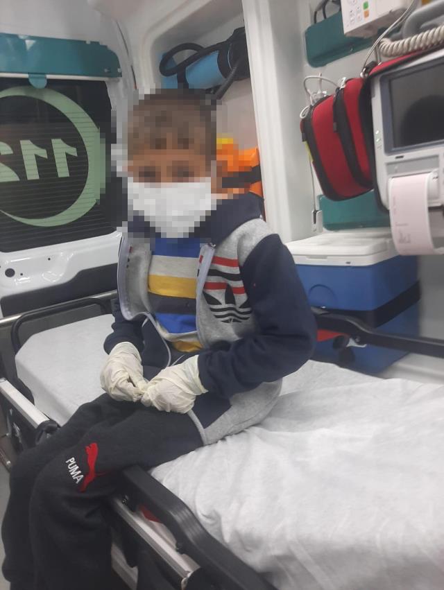Başıboş köpeklerin ısırdığı çocuklar kuduz oldu! Alınan önlem yürekleri sızlattı Başıboş köpeklerin ısırdığı çocuklar kuduz oldu! Alınan önlem yürekleri sızlattı