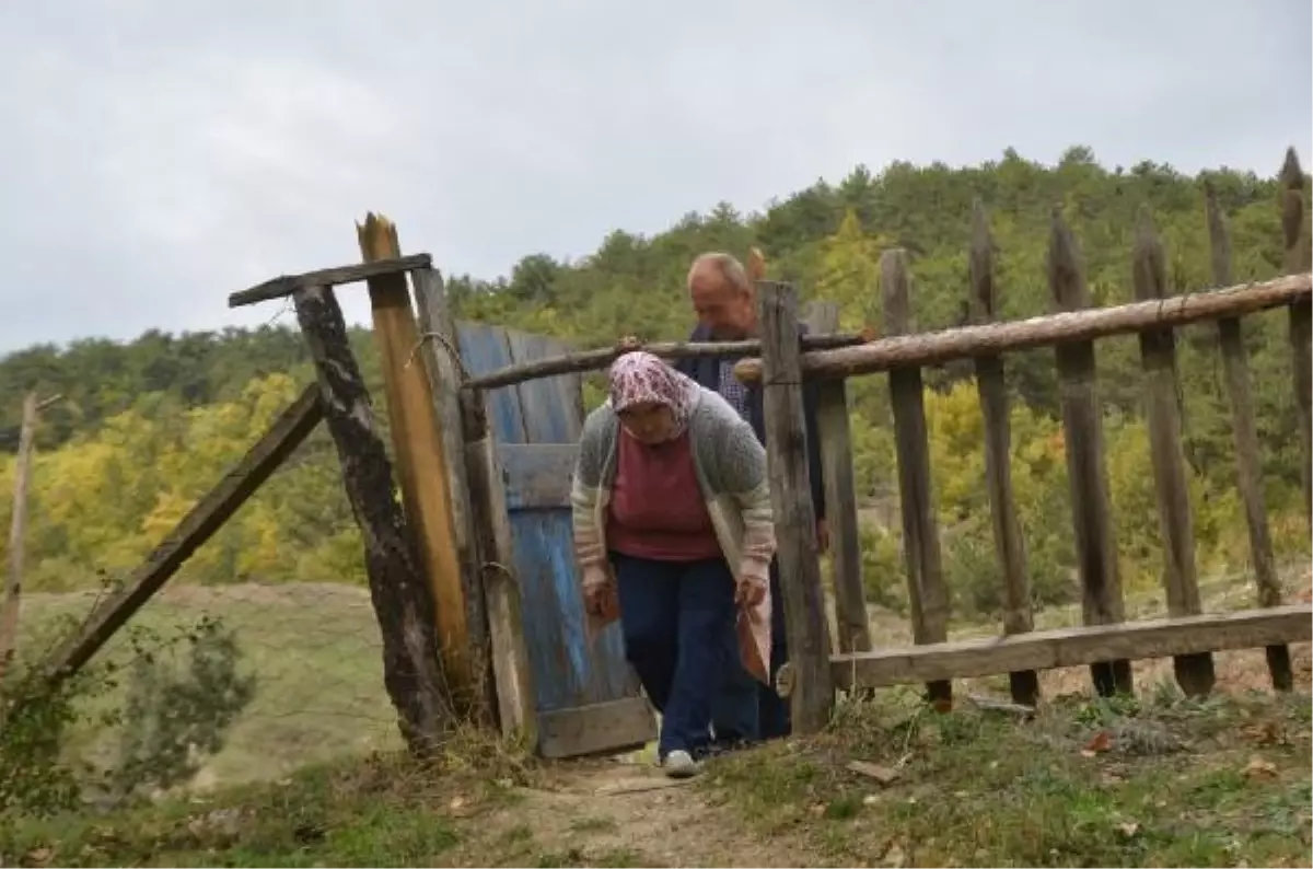 Ölmeden kendi ve eşinin mezarını yaptırdı, her gün içinde yatıyor