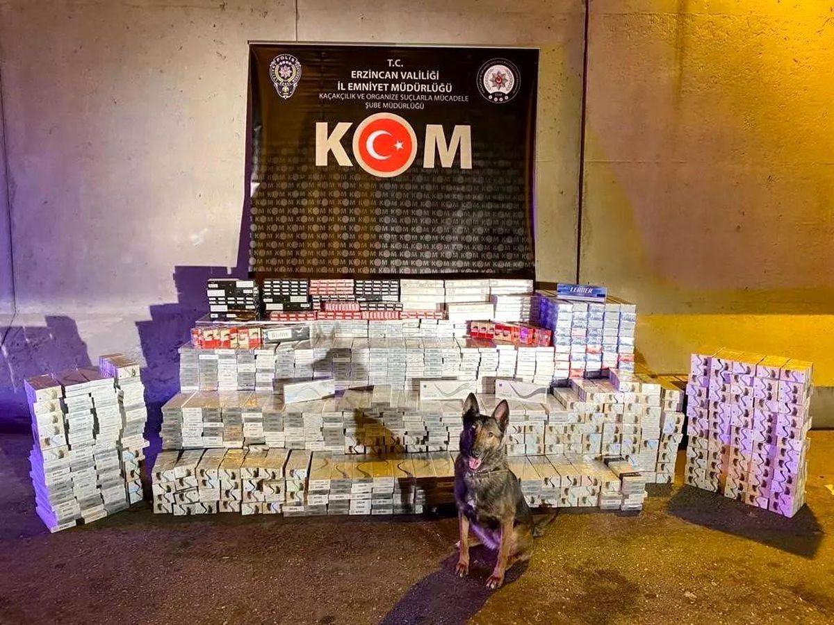 Erzincan\'da 24 bin 240 adet kaçak sigara ele geçirildi