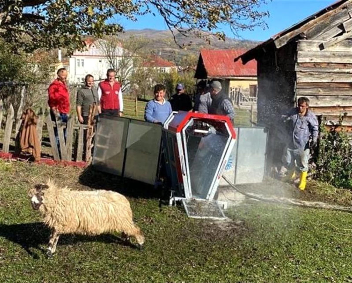 Ordu\'da mobil koyun yıkama banyoları hizmete girdi