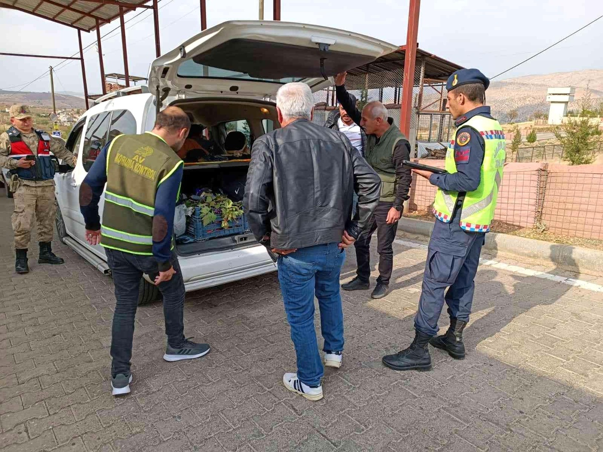 Siirt\'te kaçak avcılara yönelik denetim yapıldı