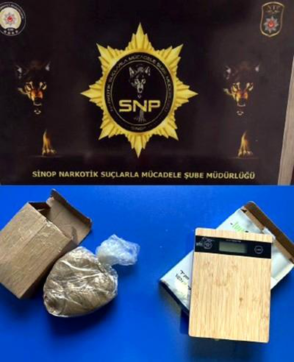 Sinop\'ta torbacı operasyonu: 2 kişi tutuklandı