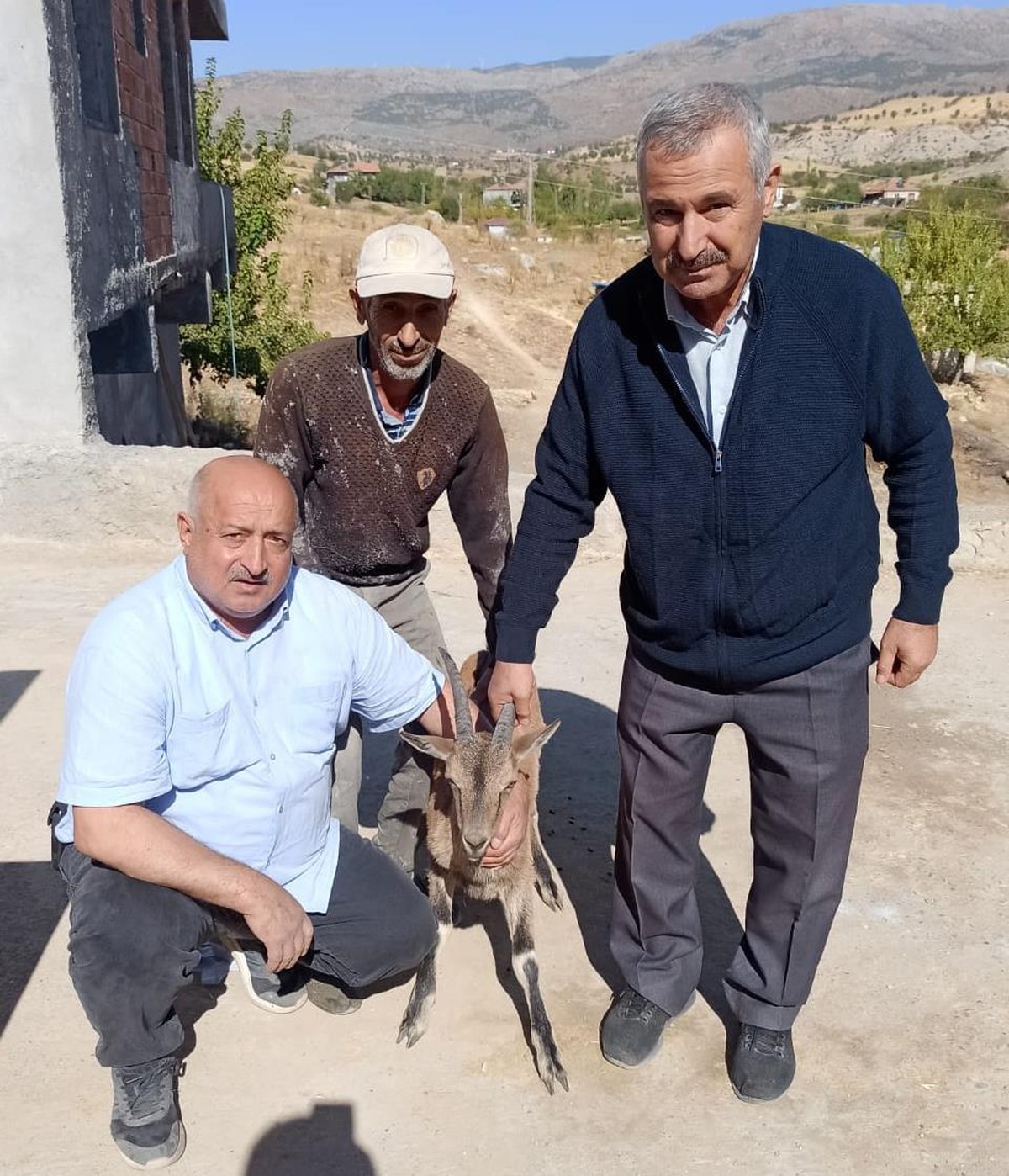 Adıyaman\'da yaralı bulunan dağ keçisi tedavi altına alındı