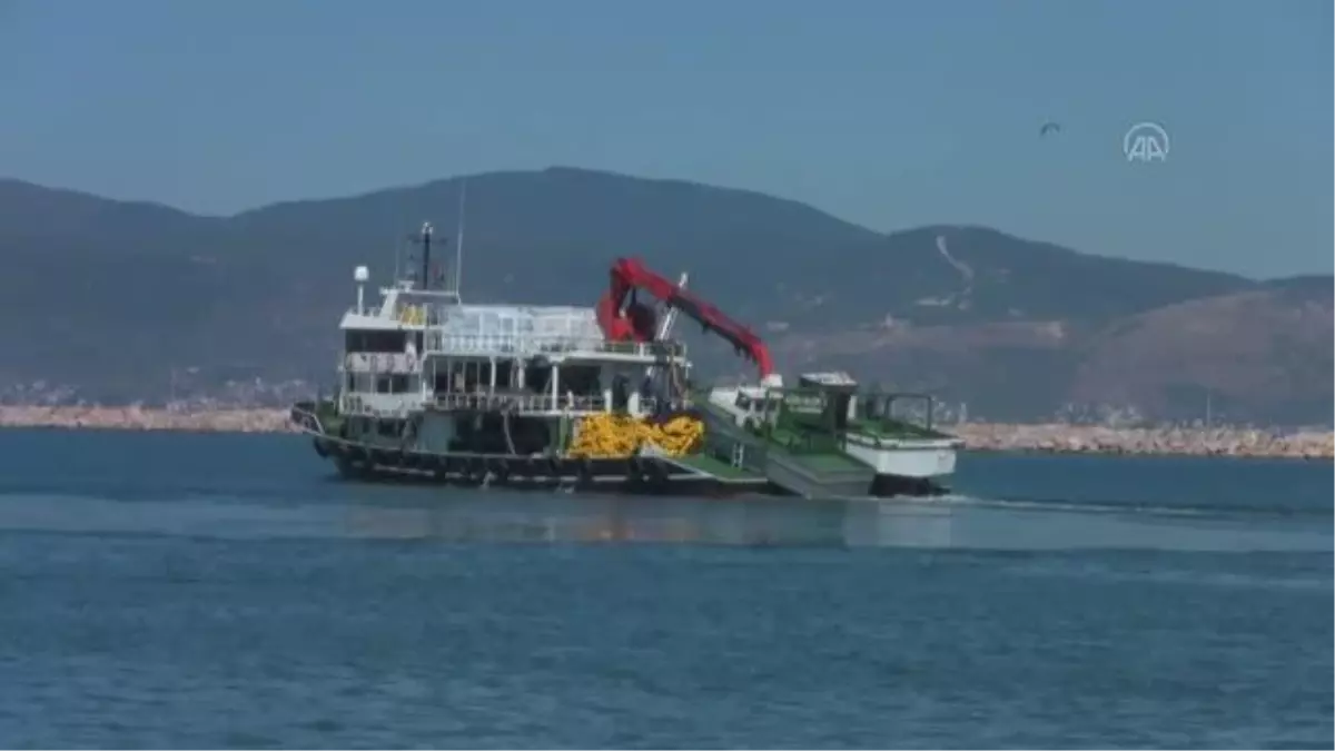 BALIKESİR - Ekim ayında Bandırma Balık Hali'ne 190 bin 418 çift palamut getirildi