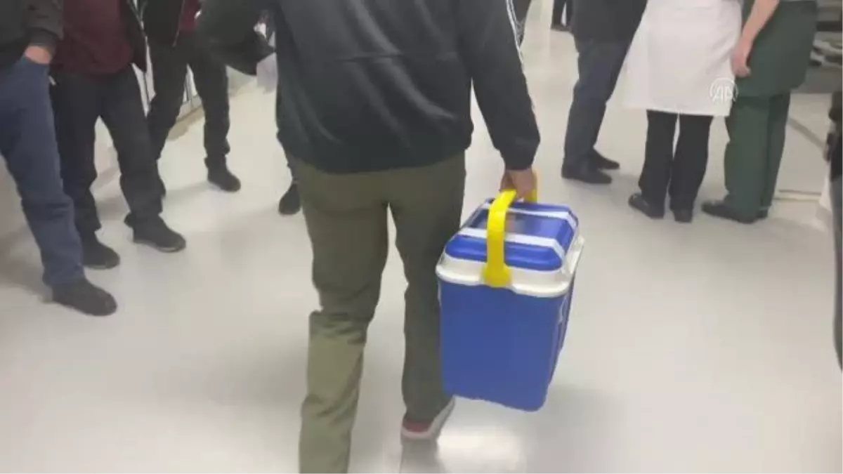 Beyin ölümü gerçekleşen kişinin organları üç hastaya umut oldu