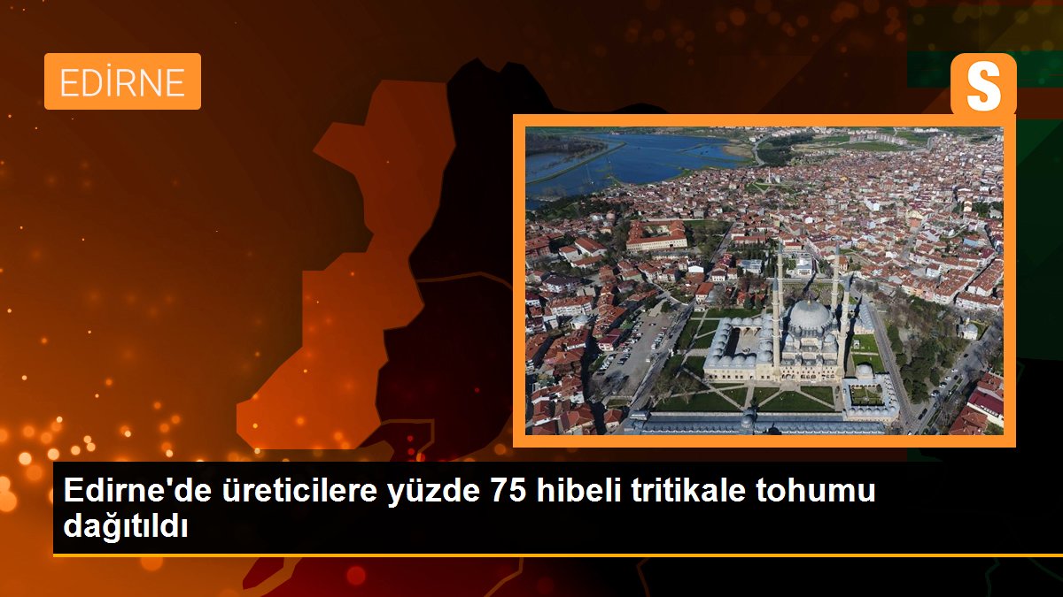 Edirne\'de üreticilere yüzde 75 hibeli tritikale tohumu dağıtıldı