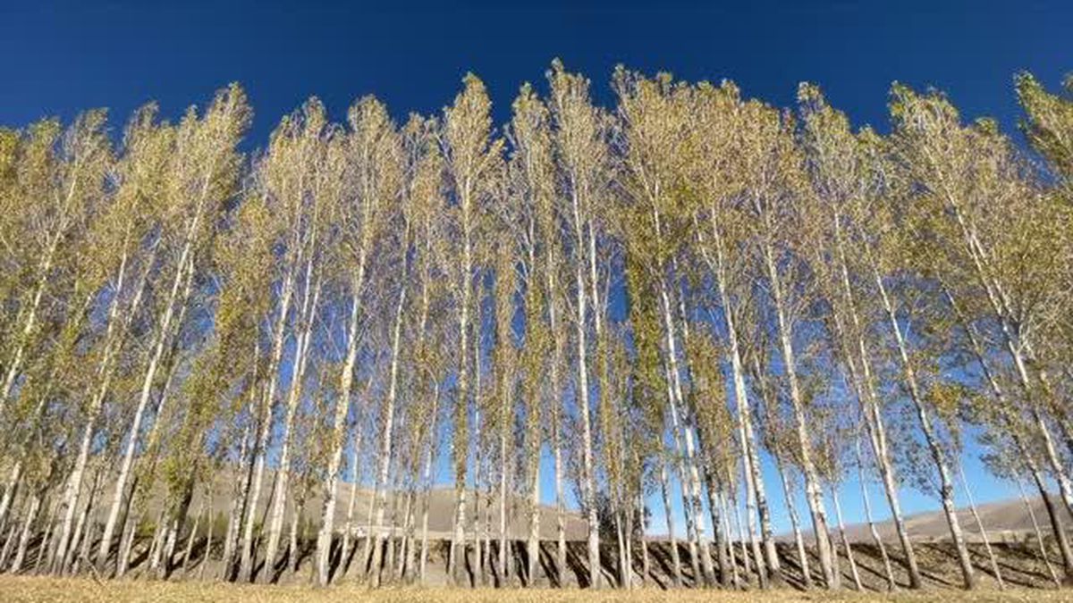 Erzurum kırsalındaki mahallerde sonbahar renkleri hakim oldu
