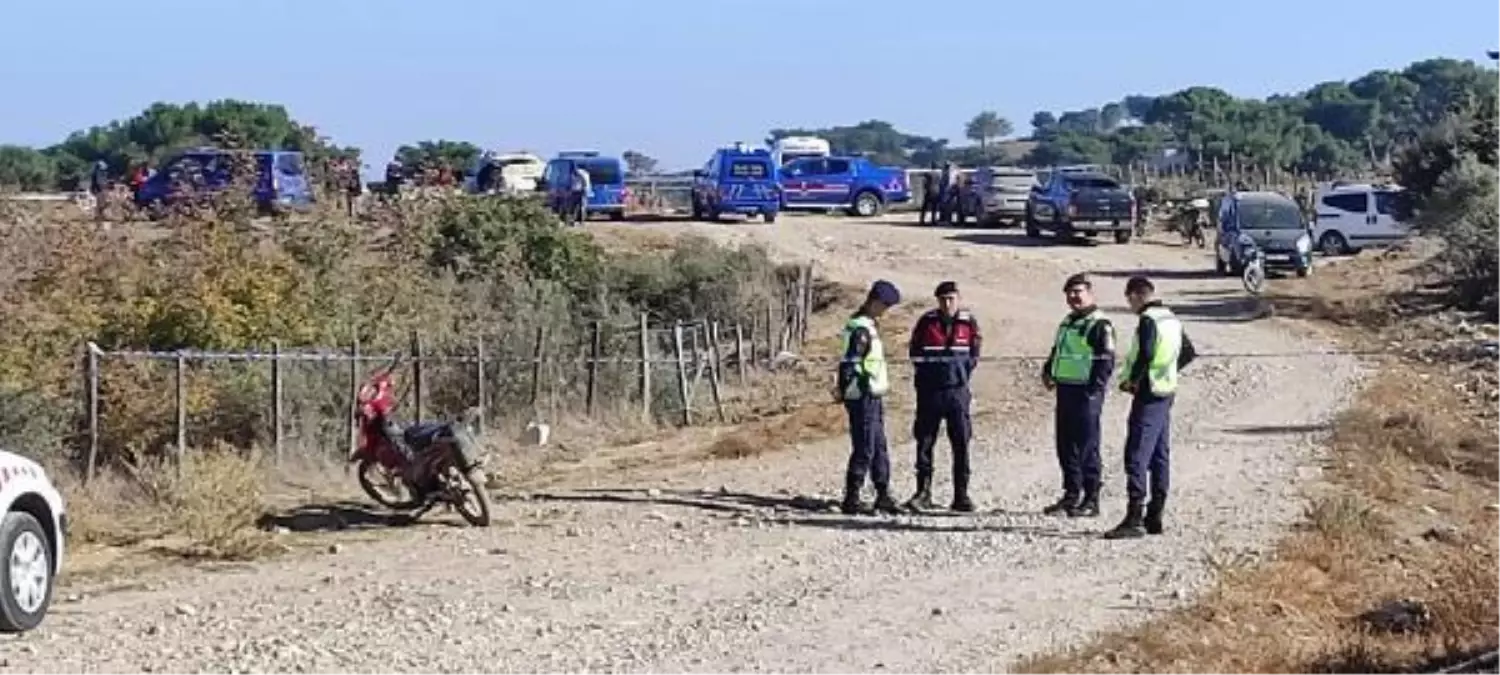 'Hayvanların, kurutmaya bıraktığım mısırlara girdi' deyip, av tüfeğiyle öldürdü