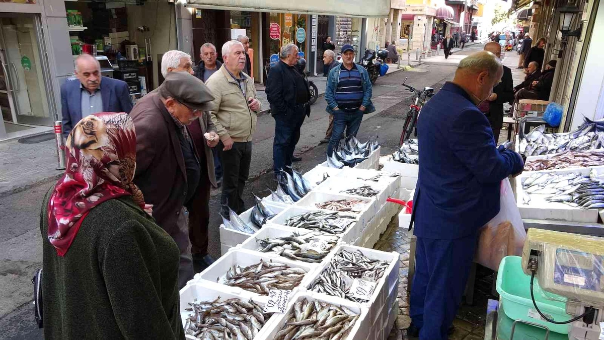 Karadeniz\'de palamut bolluğu: Balıkçılarda kuyruk