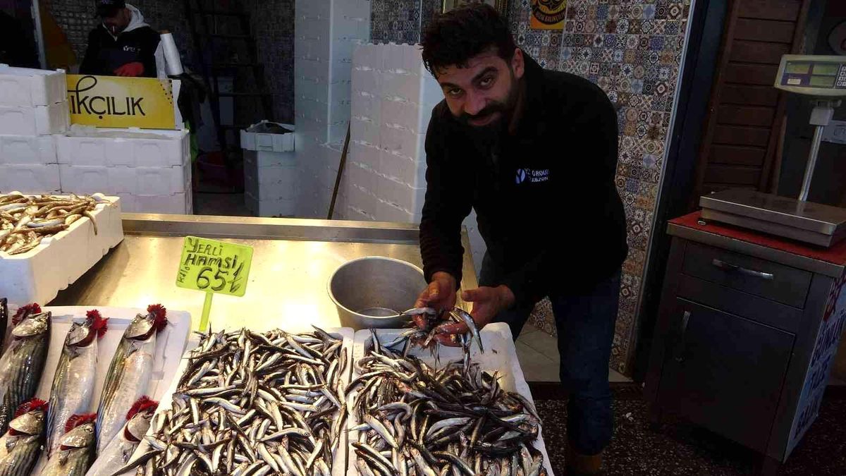 Karadeniz hamsisi tezgâhlarda yerini aldı