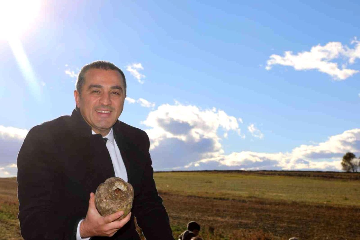 Kars\'ta pancar hasadı yapıldı