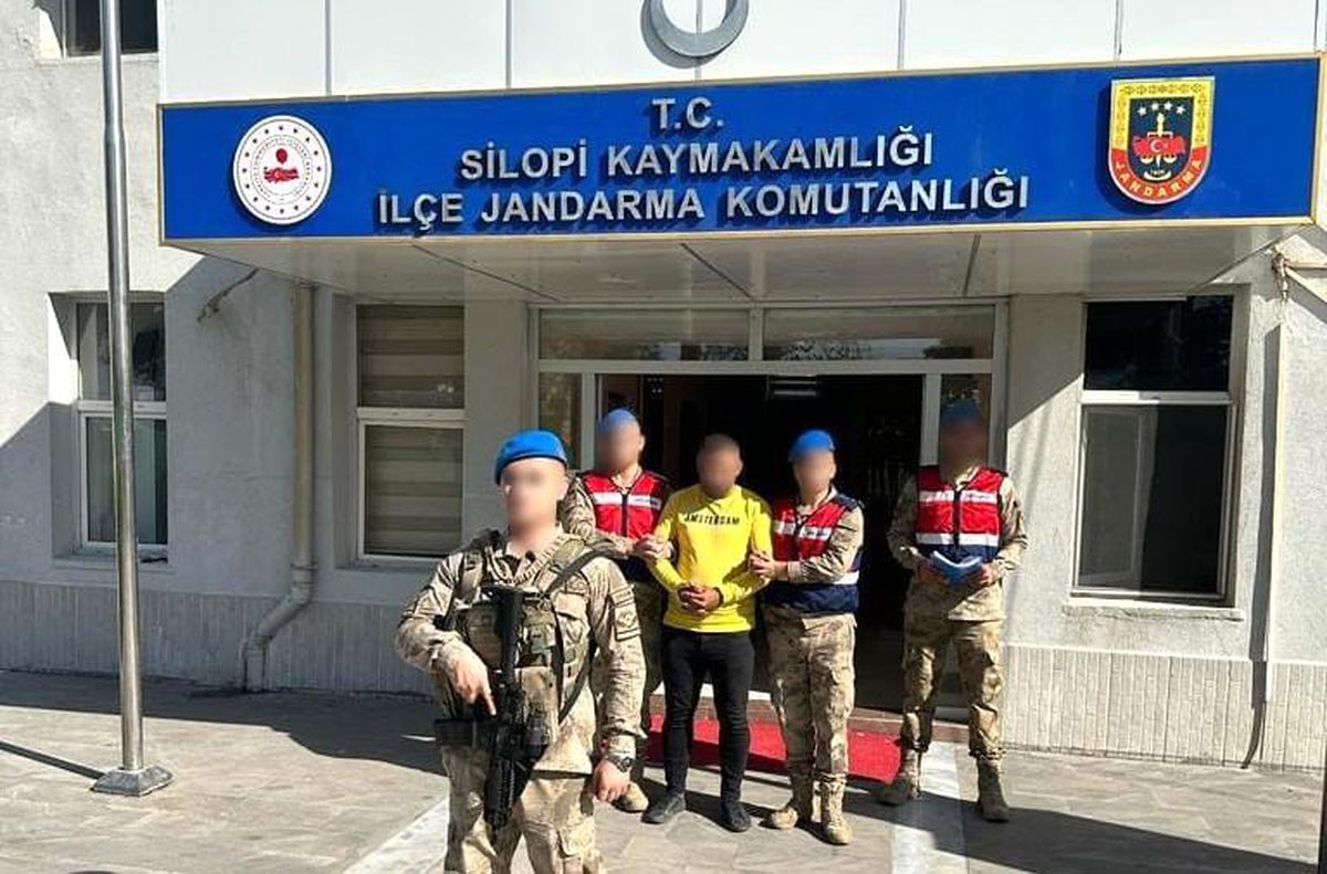 Şırnak\'ta terör operasyonunda 1 tutuklama