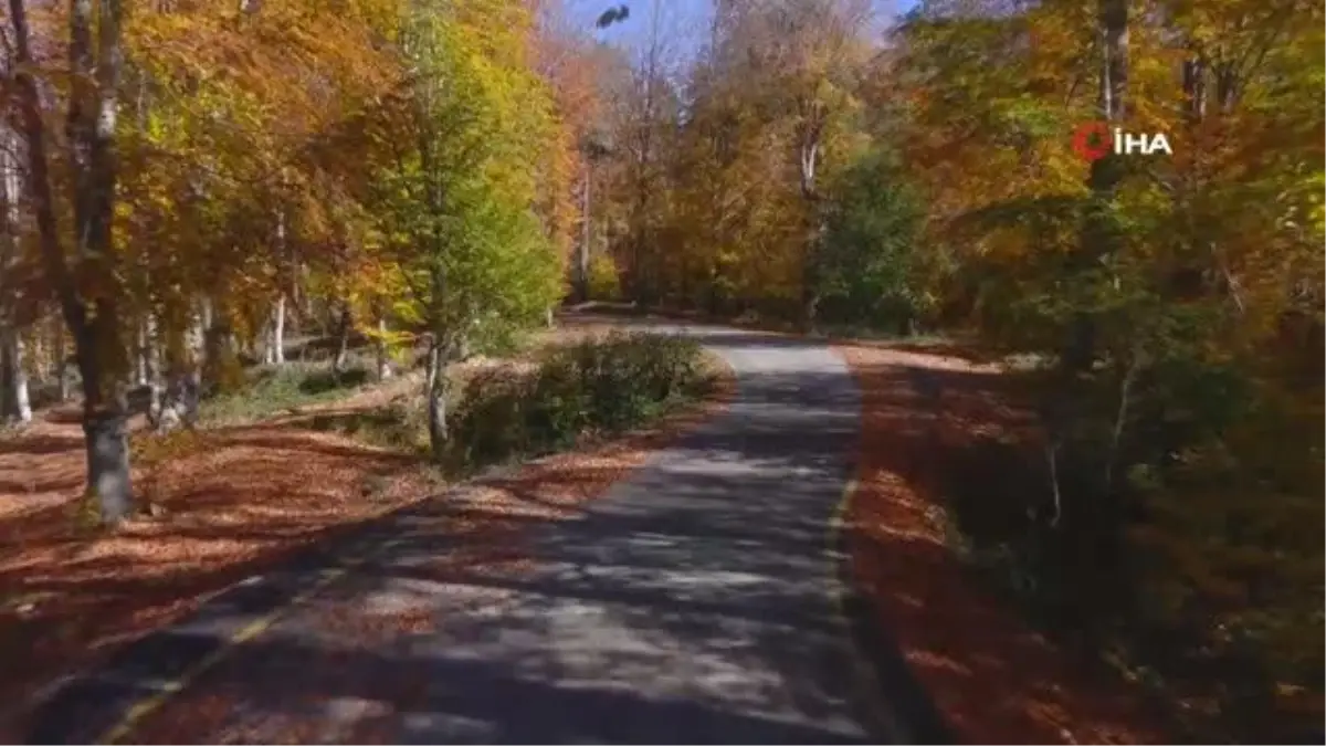 Yenice ormanlarından mest eden sonbahar görüntüleri