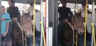 Sosyal medyada gündem olan, 'Atla midibüse binme' olayının Türkiye'de yaşanmadığı ortaya çıktı