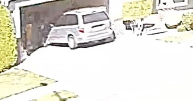 Boşandığı kocası tarafından diri diri gömülen kadın mezardan çıkmayı başardı Boşandığı kocası tarafından diri diri gömülen kadın mezardan çıkmayı başardı