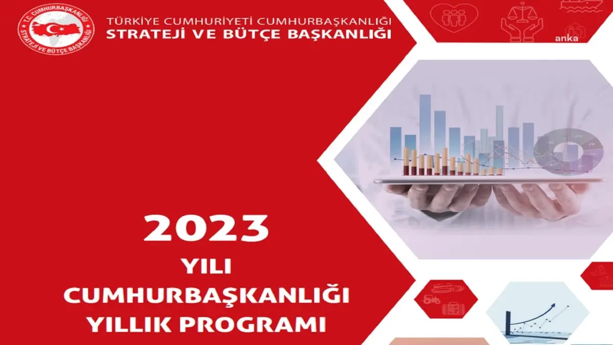 Cumhurbaşkanlığı Yıllık Programı\'na Göre, Özelleştirilme Potansiyeli Olan Yeni Şirket ve Varlıklar da Özelleştirilecek