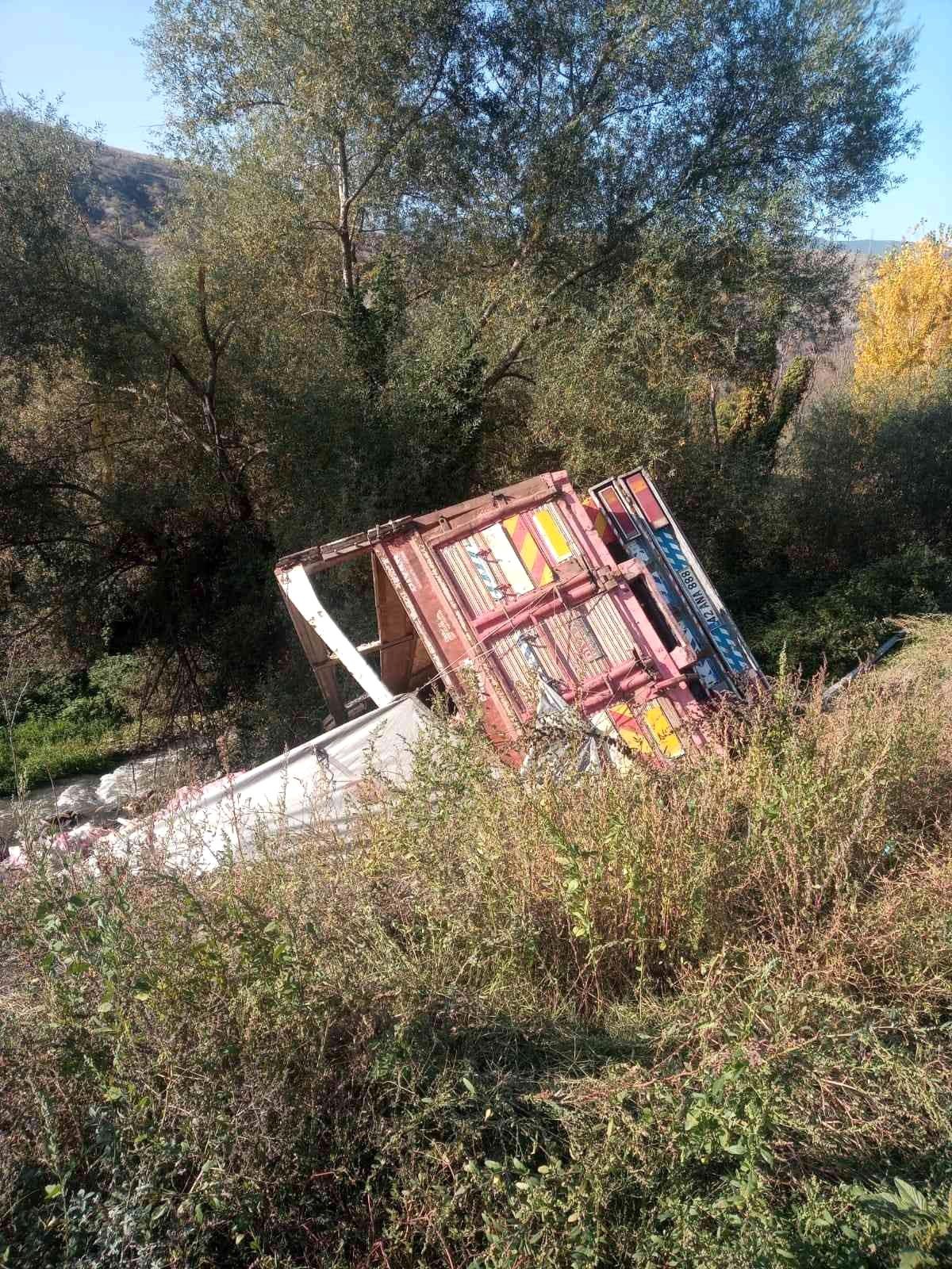Direksiyonu kitlenen sebze yüklü kamyon şarampole uçtu