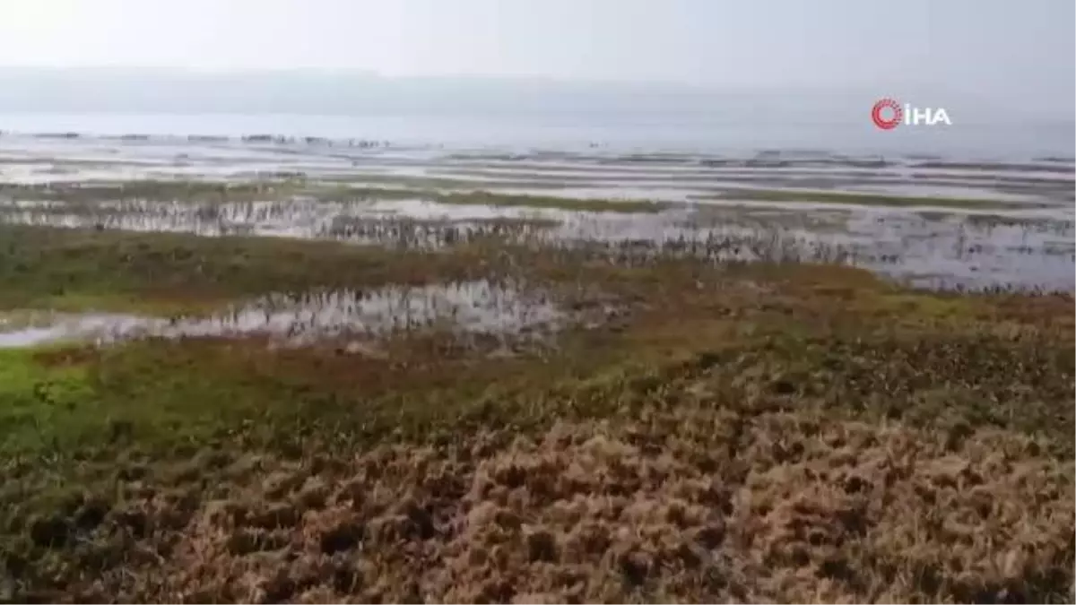 İznik Gölü\'nde tehlikeli görüntü...Sular altındaki bazilika gün yüzüne çıktı