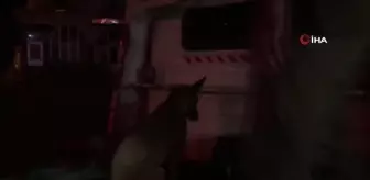 Kahta'daki uyuşturucu operasyonunda 3 kişi tutuklandı