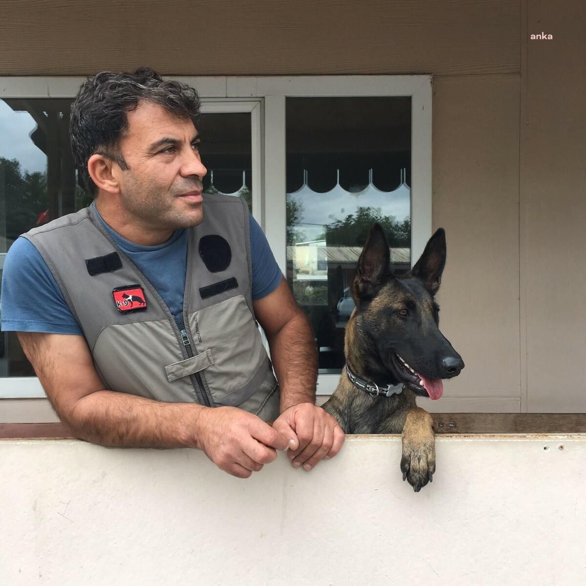 Sarıyer Belediyesi\'nin Kurtarma Köpeği Şilan, 27 Kahramandan Biri Oldu