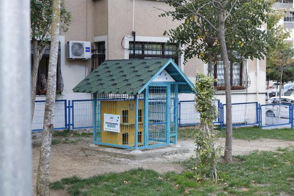 Sultangazi\'de sokak hayvanları için kış hazırlığı