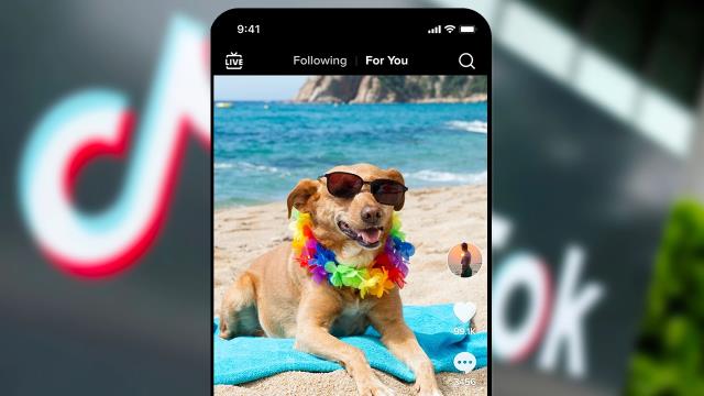 TikTok gizlilik politikasını değiştirdi! artık kullanıcı verilerini çalışanlar görebilecek! TikTok gizlilik politikasını değiştirdi! artık kullanıcı verilerini çalışanlar görebilecek!