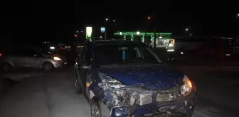 Edirne'de otomobilin çarptığı sürüdeki 7 koyun telef oldu
