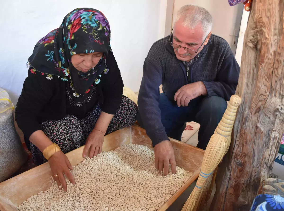 Eskişehirli kadın çiftçi ata tohumuyla kuru fasulye üretiyor