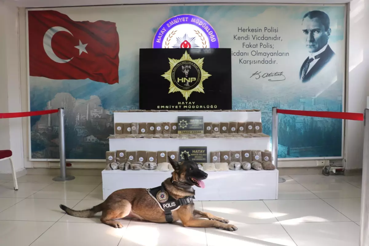 Hatay'da 19 bin 740 uyuşturucu hap ve 17 kilo 770 gram esrar ele geçirildi