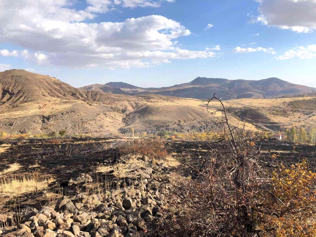 Hekimhan\'da arazi yangını: 8 dönüm zarar gördü