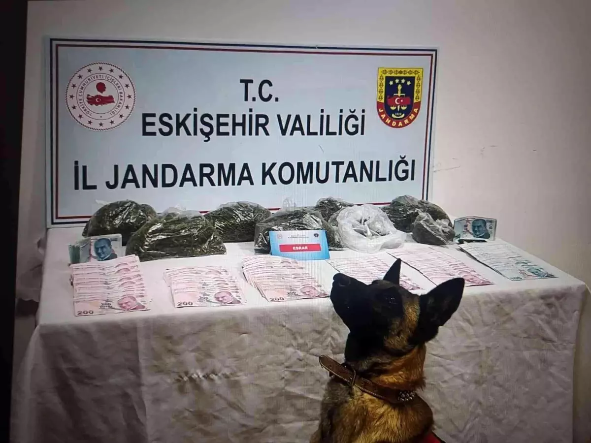 Jandarmadan uyuşturucu operasyonu