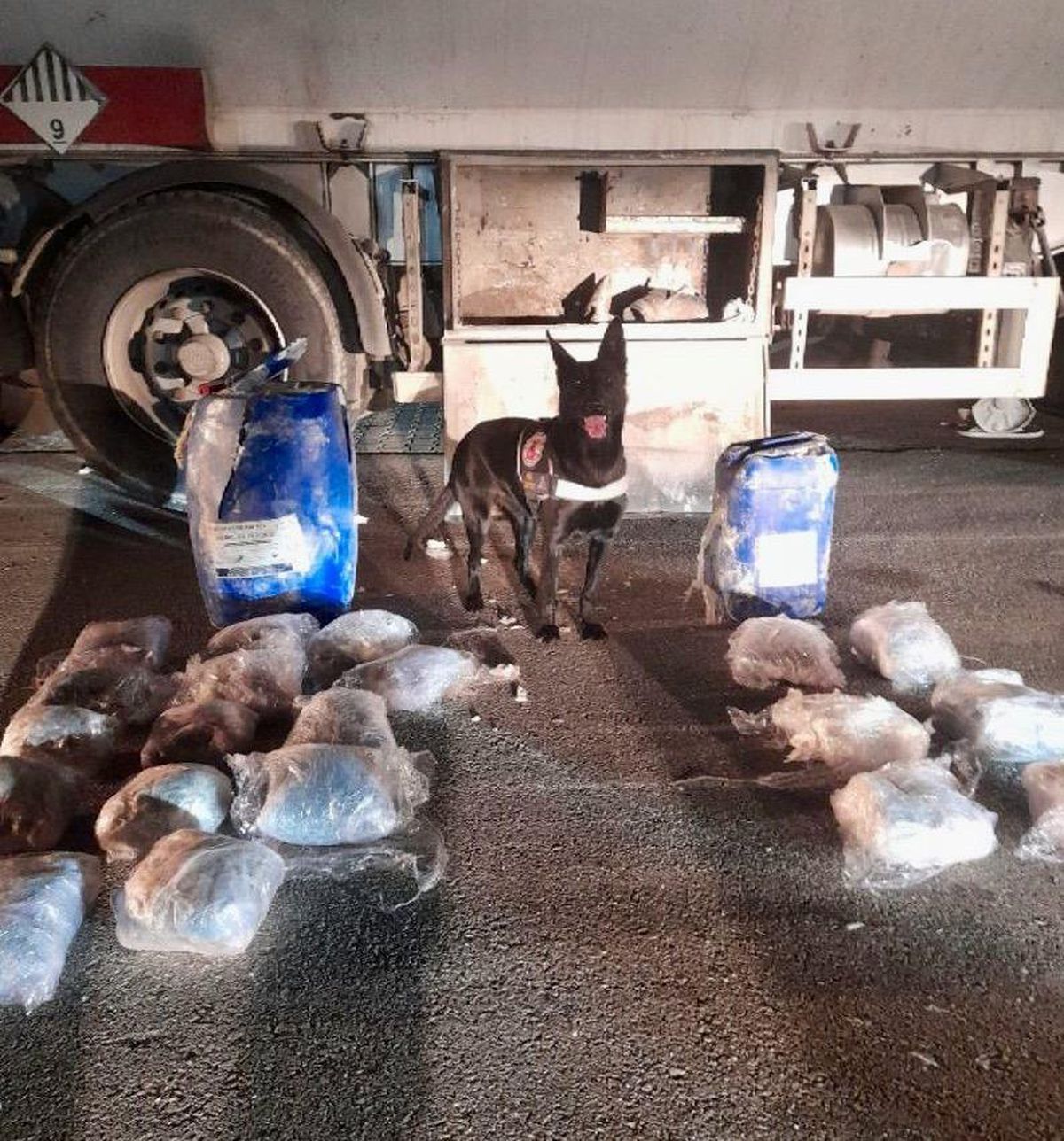 Düzce\'de bir tırda variller içerisinde 11 kilogram uyuşturucu bulundu