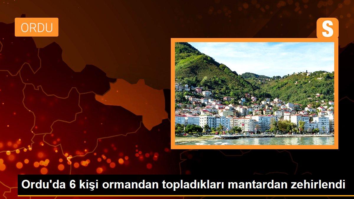Ordu\'da mantardan zehirlenen 6 kişi hastanelik oldu