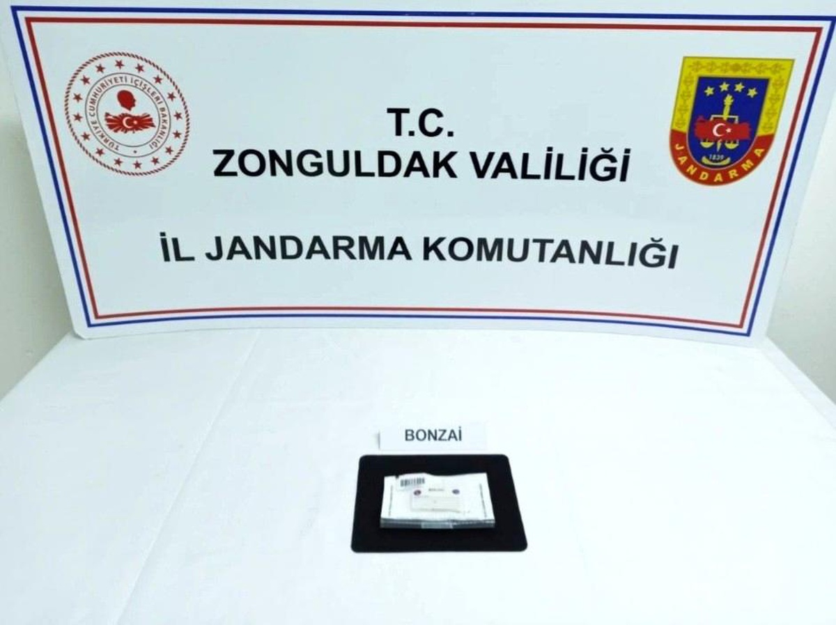 Zonguldak\'ta uyuşturucu operasyonunda 3 tutuklama