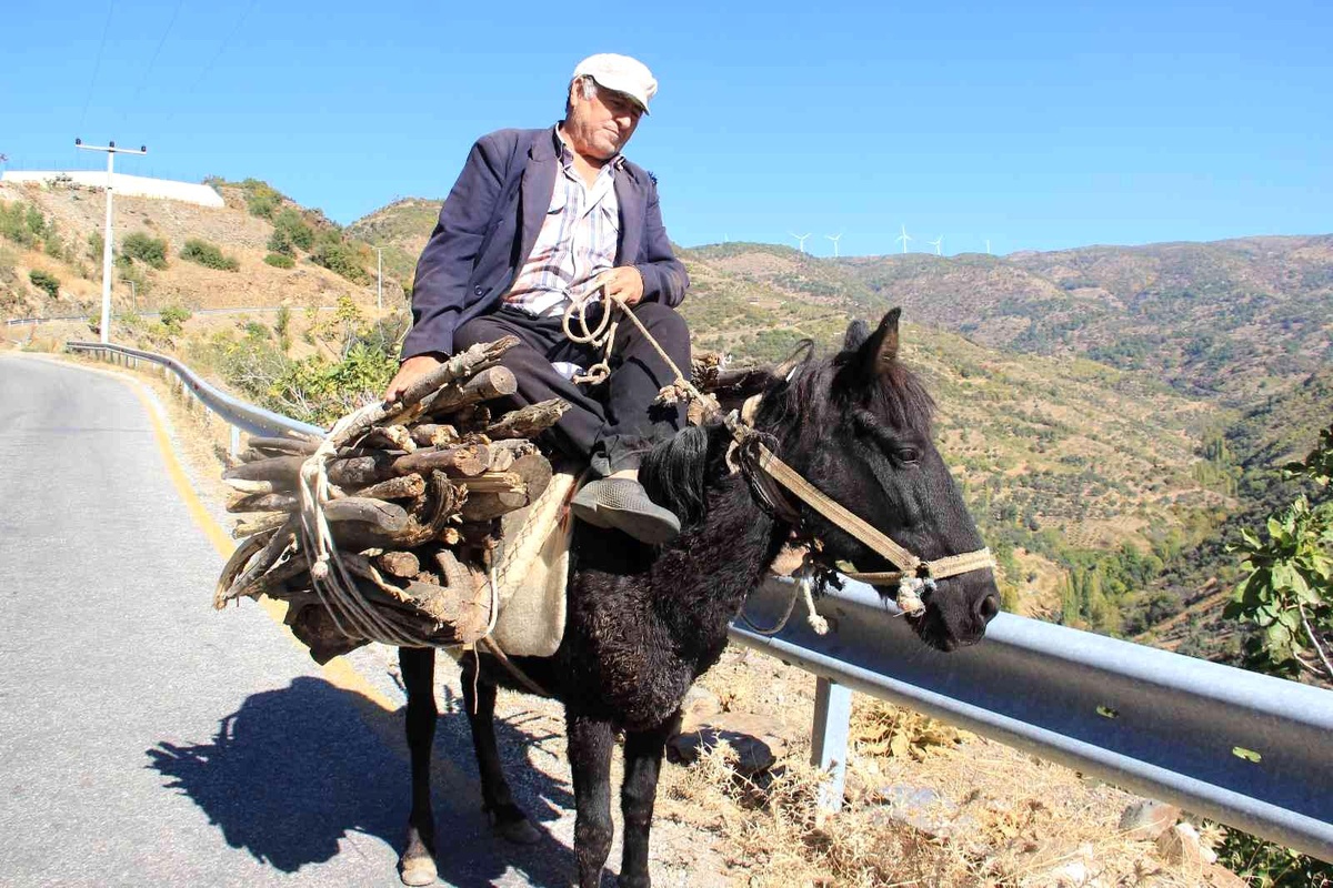 Aydın\'da geleneksel kış hazırlıkları başladı