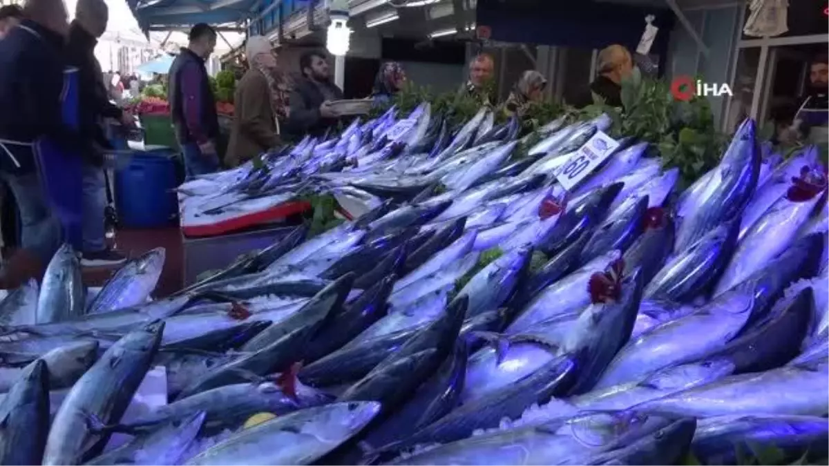 Balık tezgahları palamut ve hamsiyle doldu