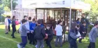 Başkent'in 5 beyazı öğrencilere tanıtılıyor