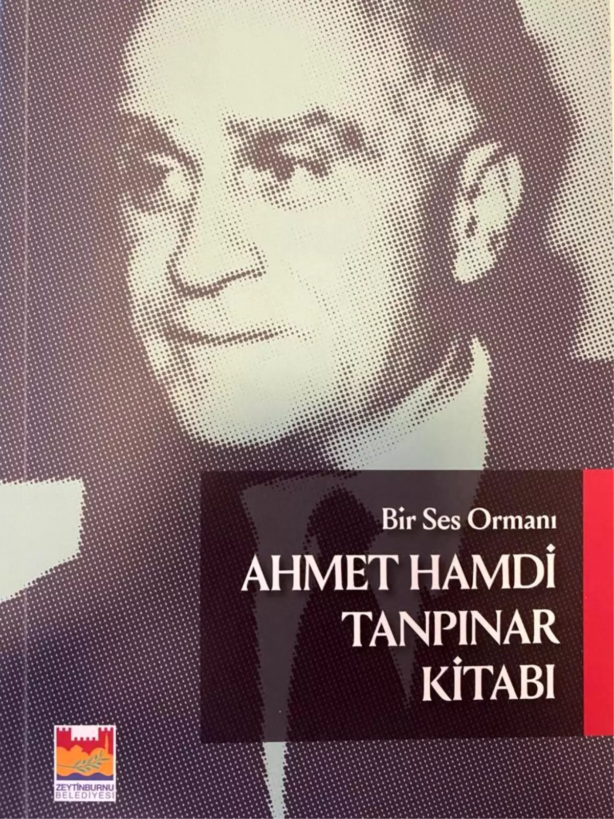 Ahmet Hamdi Tanpınar\'ın edebiyat hayatı tüm yönleriyle kaleme alındı