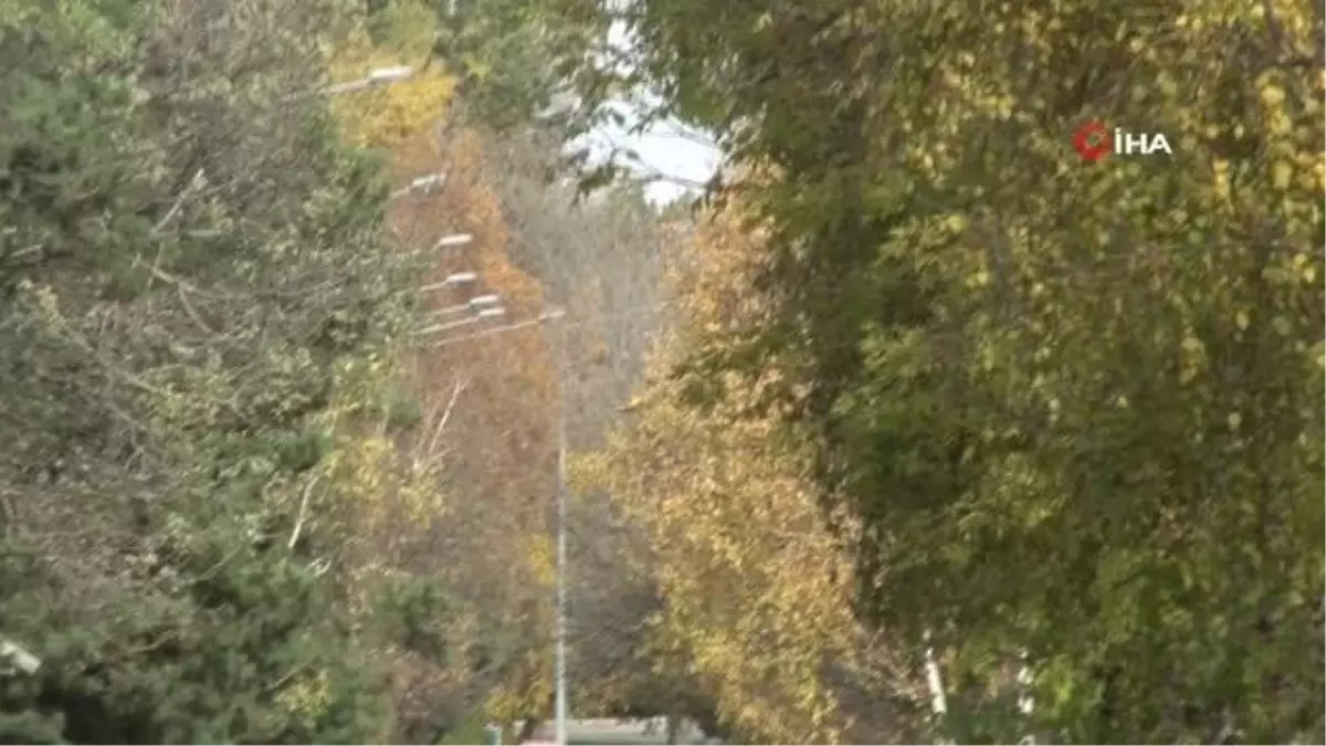 Erzurum'da sonbahar manzarası