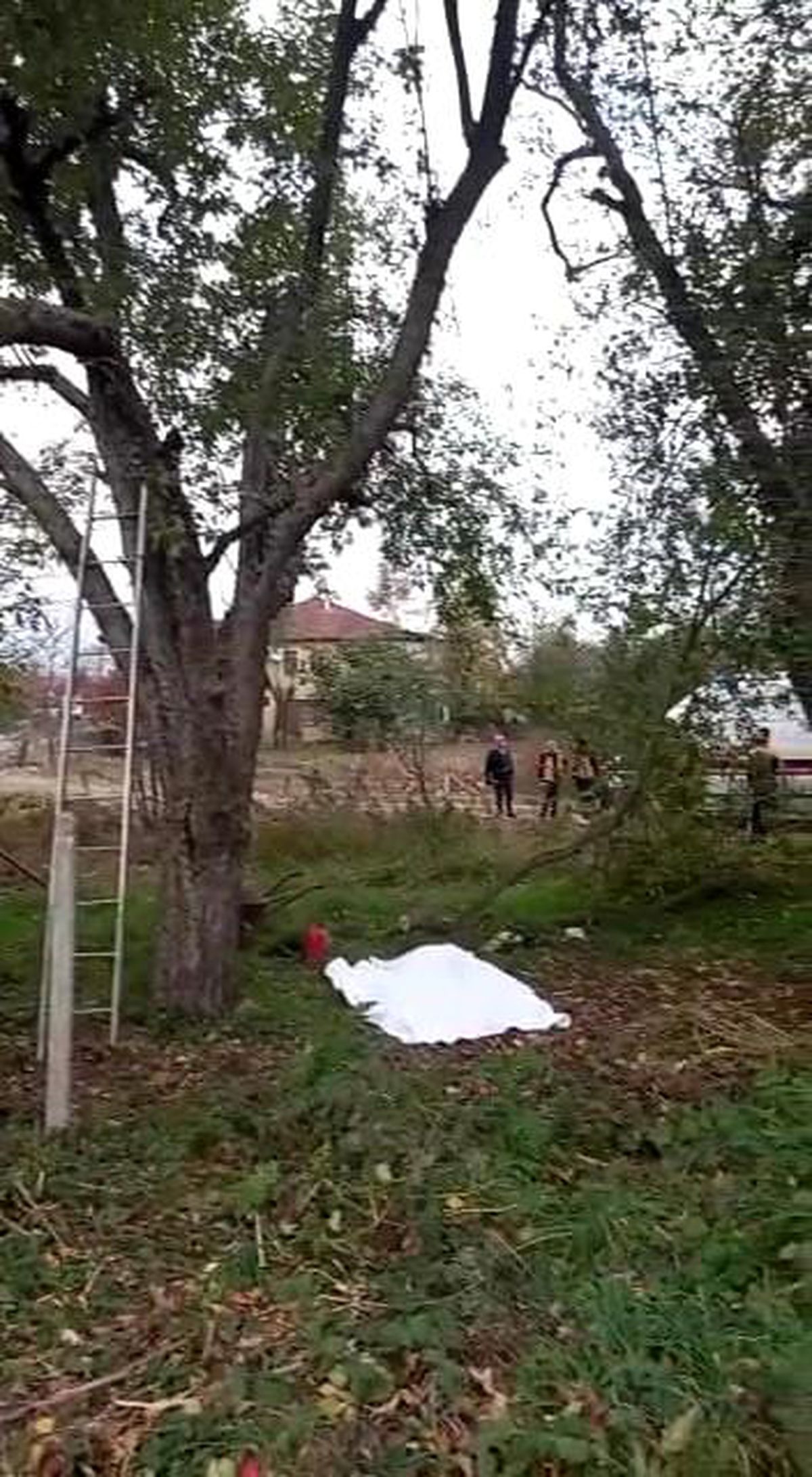 Kestiği ağaç sonu oldu
