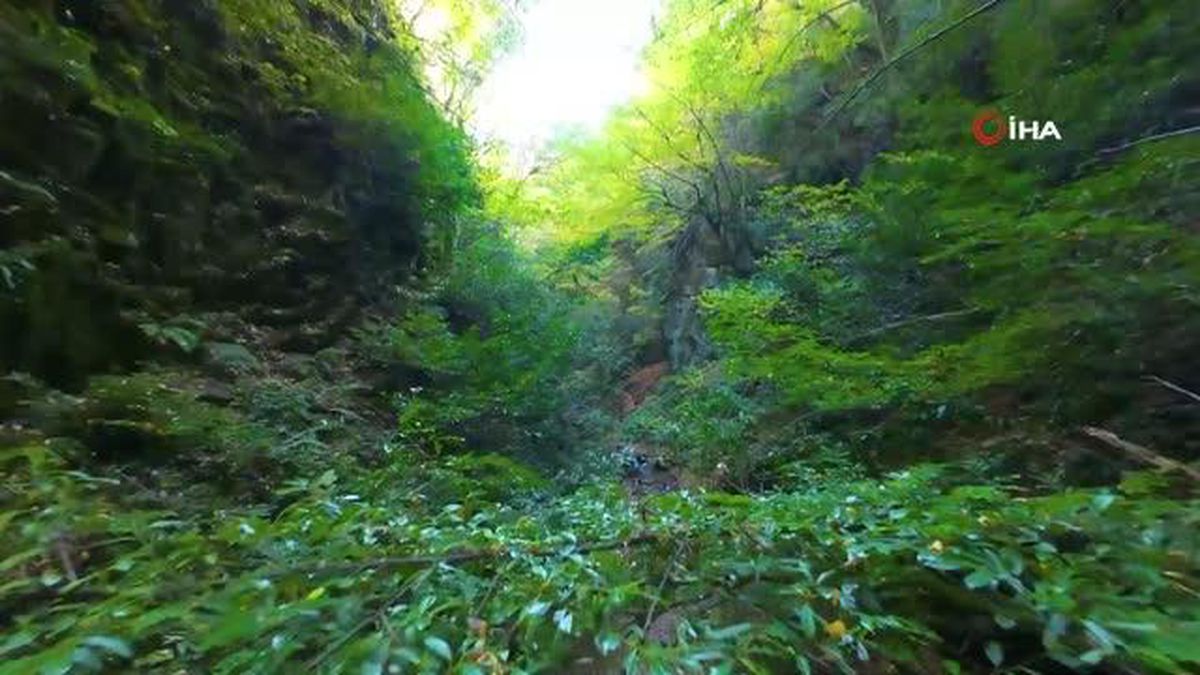 Sonbaharın renkleri ile Nüzhetiye Şelalesi birleşti, eşsiz görüntüler ortaya çıktı