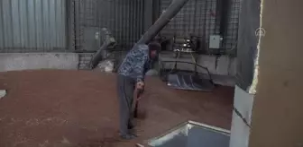 Tahıl koridoru anlaşmasında Türkiye'nin yer alması Ukrayna'da tüccarlara güven veriyor