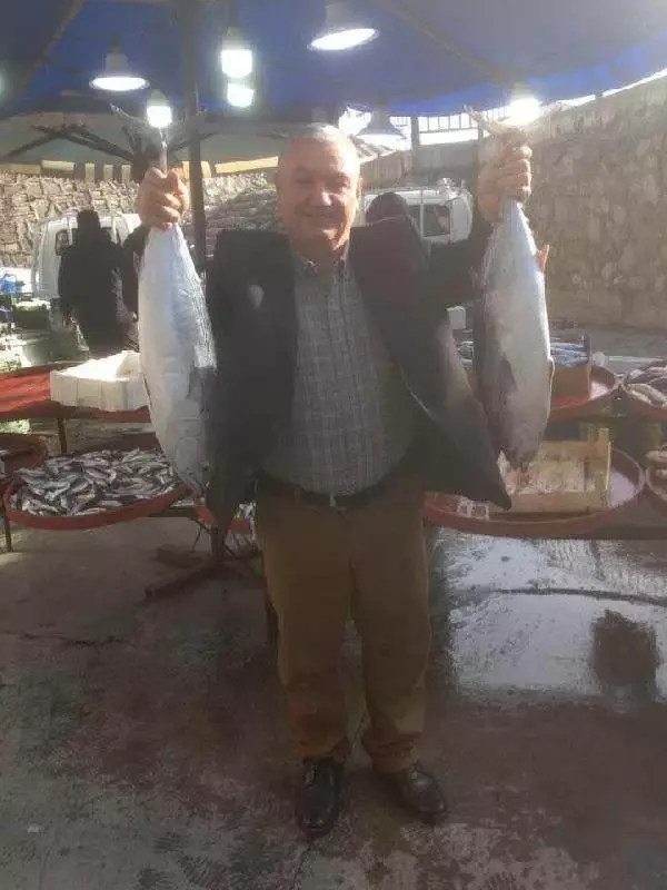 Ormandan topladıkları mantar, Düzceli ailenin sonunu getirdi! Gelinleri hala yoğun bakımda