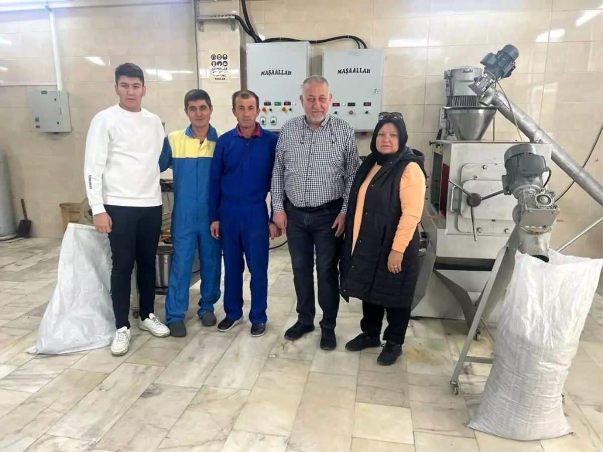 93 çeşit bitki tohumundan yağ üretiyorlar