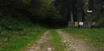 Gümüşhane'nin sonbahar güzellikleri ile mest etti